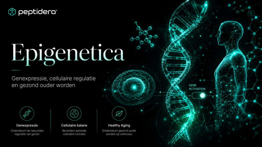 Epigenetica: genregulatie, DNA-methylering en biologische leeftijd chatgpt image 2 aug 2026, 18 17 52