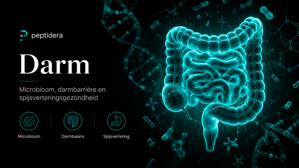 De darm-hersen-as: communicatie tussen microbioom, darm en hersenen darm