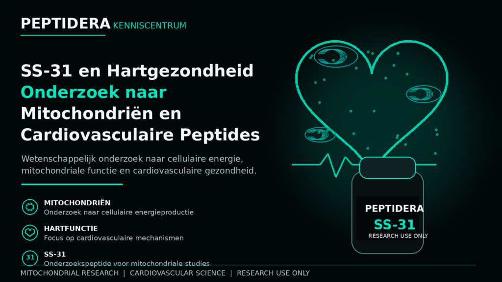 SS-31 en Hartgezondheid | Onderzoek naar Mitochondriën en Cardiovasculaire Peptides ss31 hartgezondheid peptidera